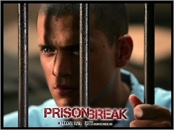 kraty, Prison Break, Wentworth Miller